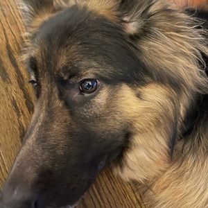 Meet your Posher, Ian